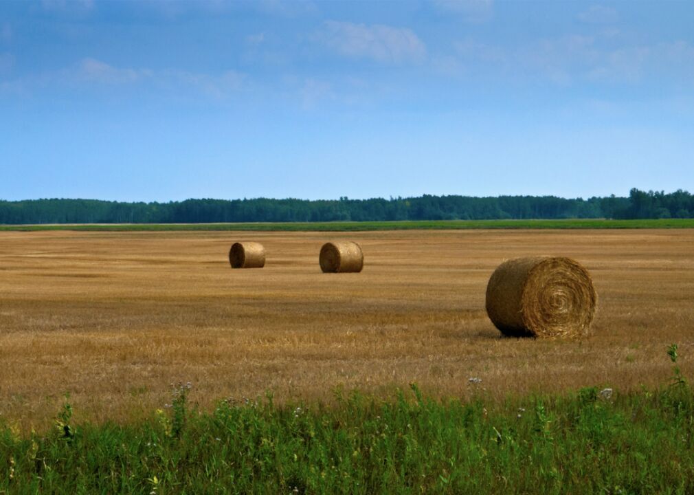 #25. Minnesota